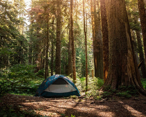 Camping in the great outdoors