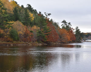 Nova Scotia