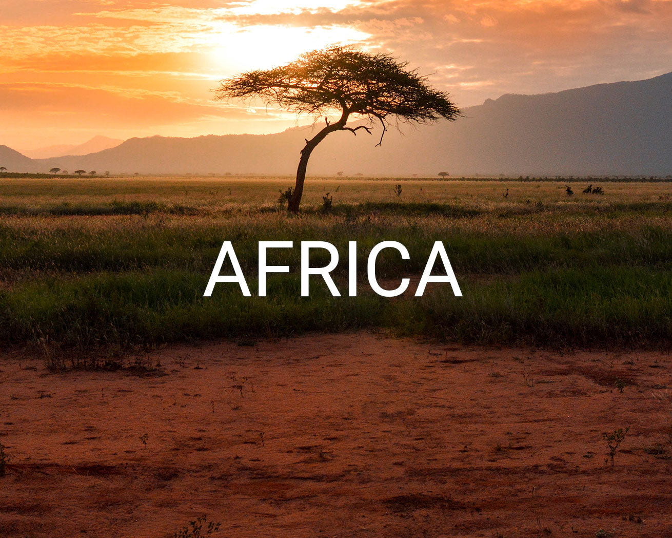 Africa