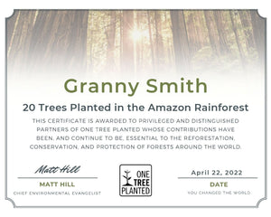 Amazon rainforest Tree Certificate