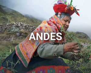 Andes