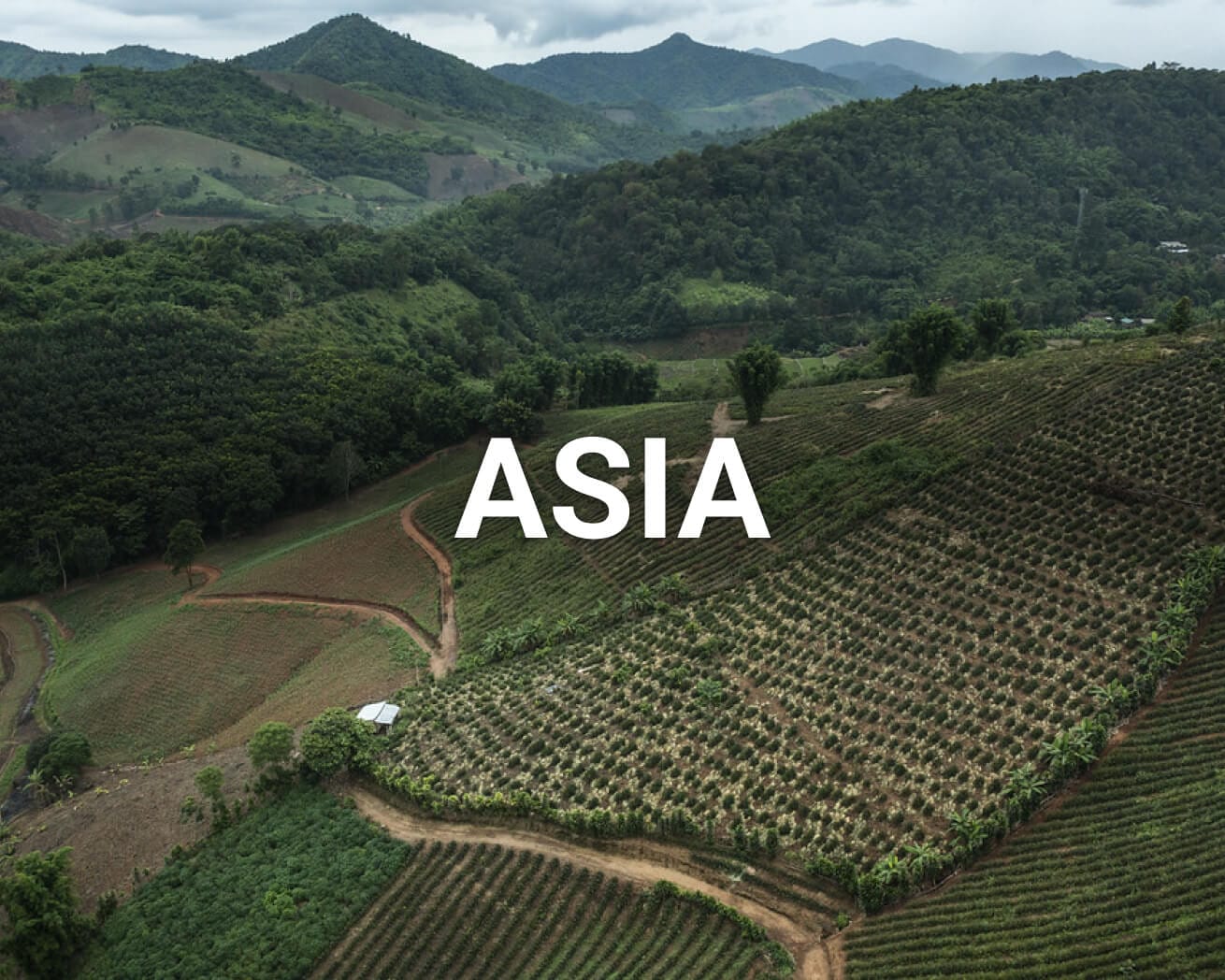 Asia