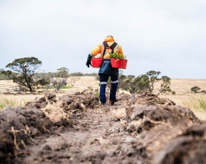 Australian Tree Planter