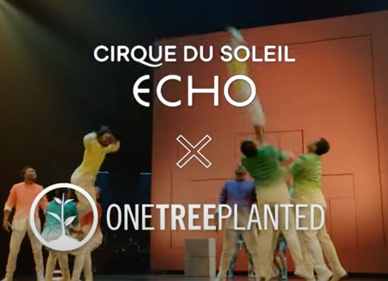 Cirque Du Soleil