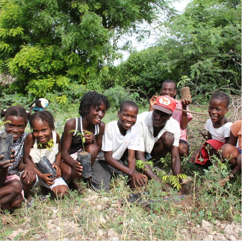 Haiti farmer tree planting