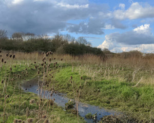 England Landscape