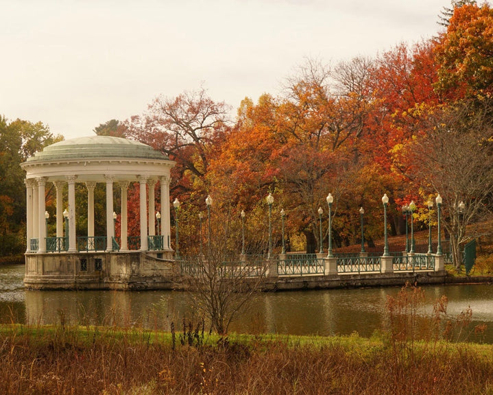 Fall Foliage