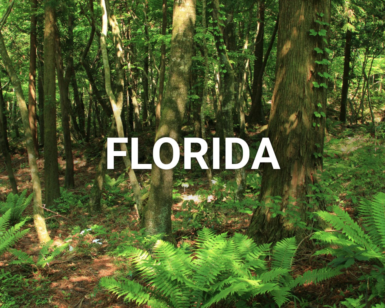 Florida