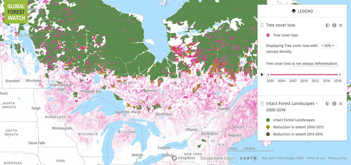 Forest Coverage in Ontario