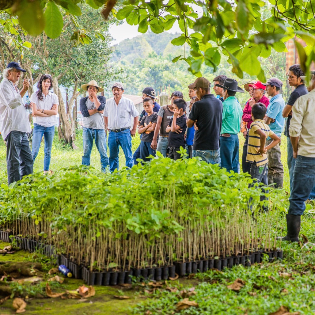 Guatemala local community