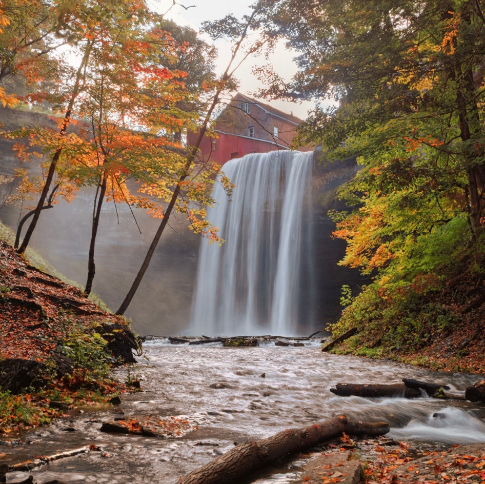 IMPROVE WATER AND AIR QUALITY