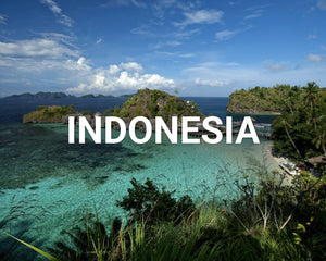 Indonesia