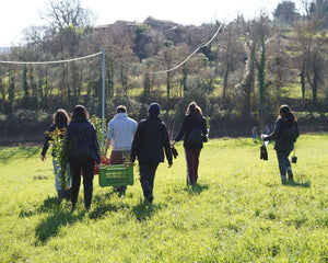 Walking to a tree planting site in Europe