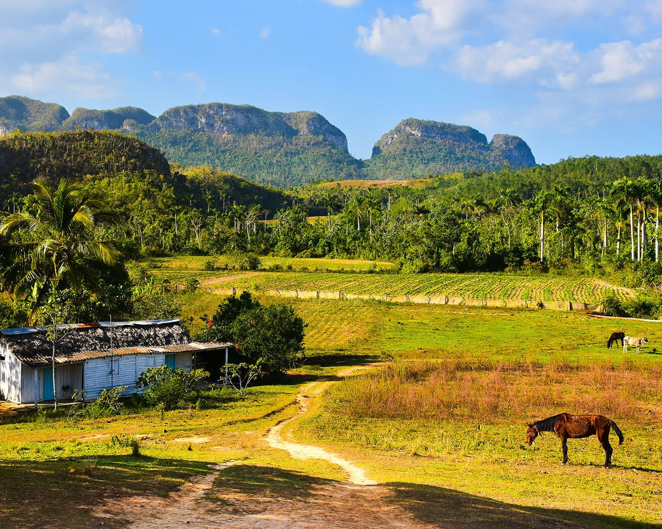 Latin America landscape