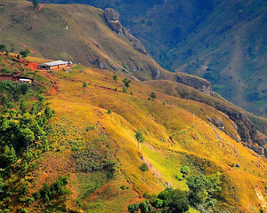 Haiti