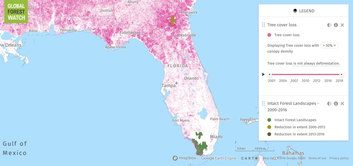 Map of Forest Loss in Florida