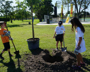 Tree Planting Day in Florida