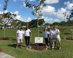 Tree Planting Day in Florida