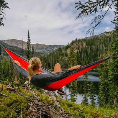 Trees help reduce stress and anxiety