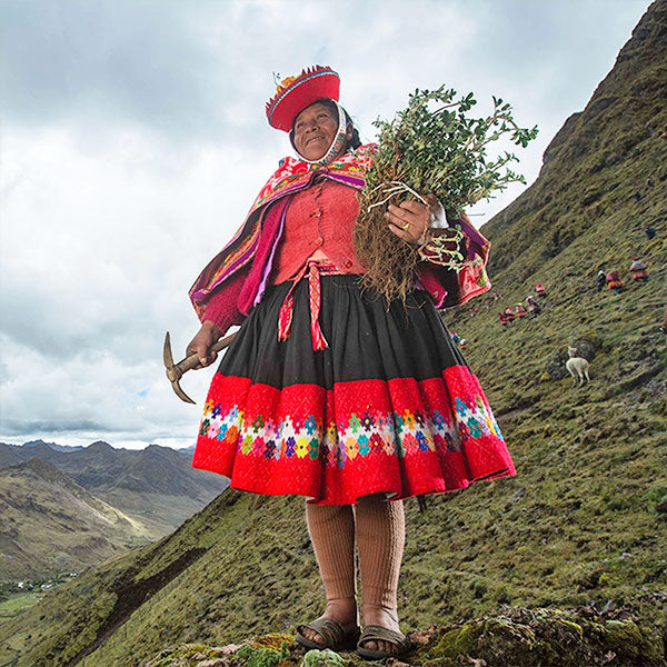 Woman holding tree sapling in Andes