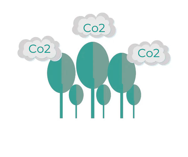 Quantified CO2 reductions become offsets