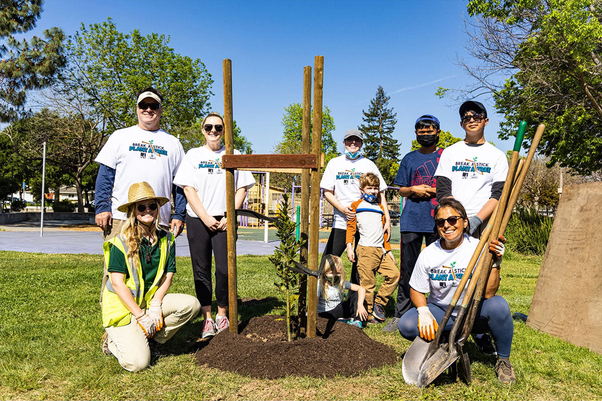 Break A Stick, Plant a Tree - San Jose Sharks