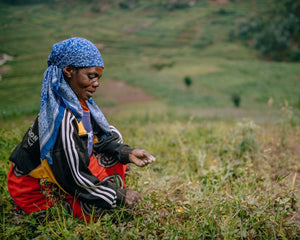 Tree planter in Africa