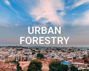 Urban Forestry