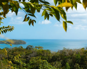 view of the water in panama