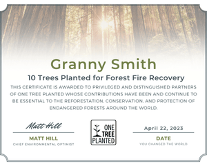 Forest Fire Recovery