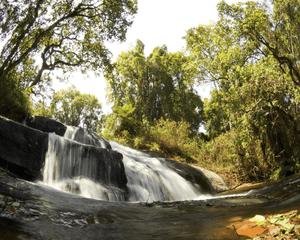 Malawi