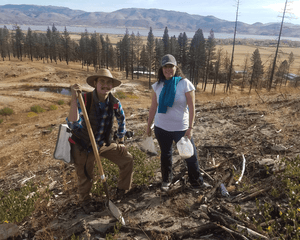 Plant Trees in California - One Tree Planted