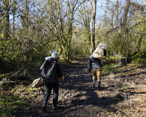 Plant Trees in Oregon - One Tree Planted