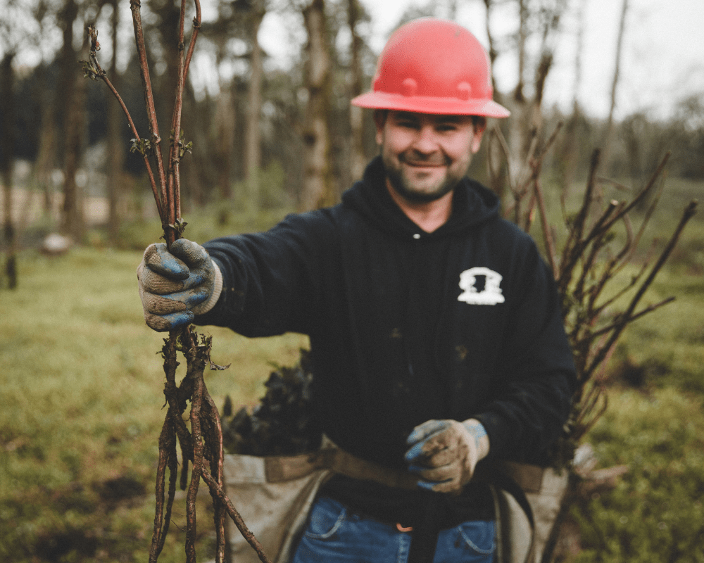 Plant Trees in Oregon - One Tree Planted