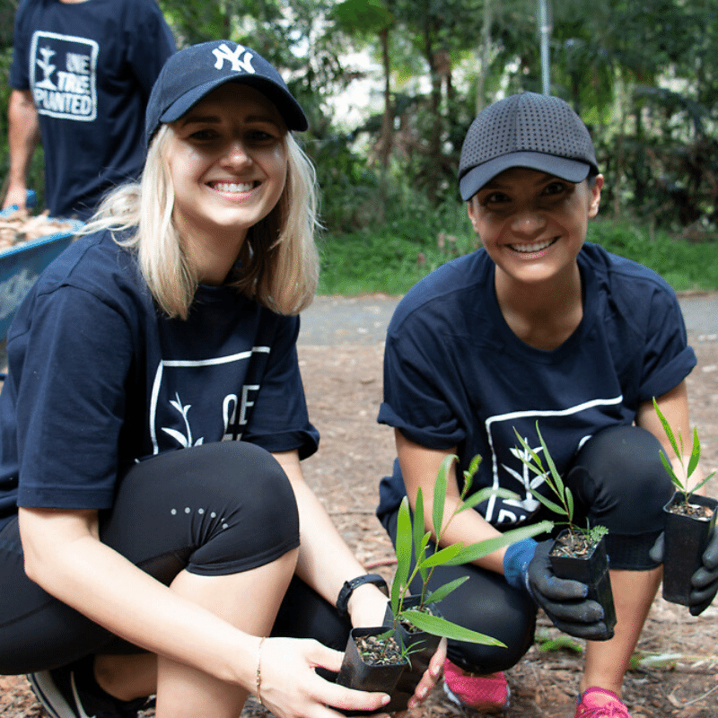 Planting trees an example of making sustainability apart of your life!