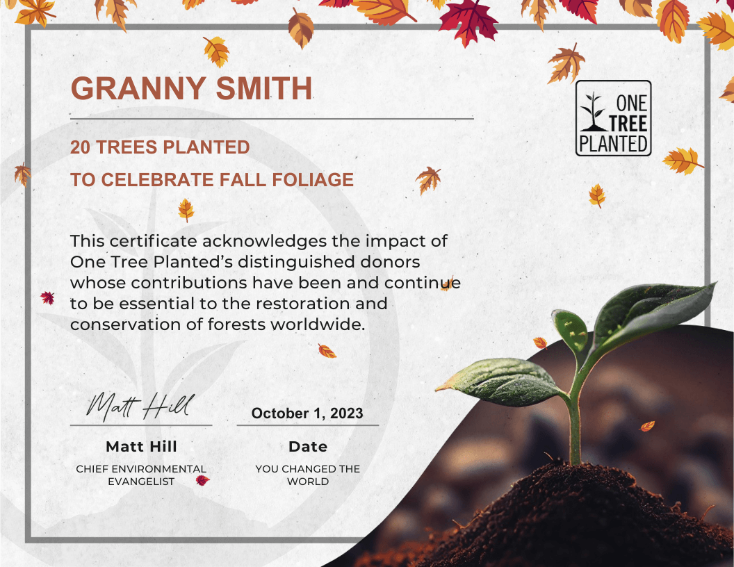 Tree certificate for Fall Foliage