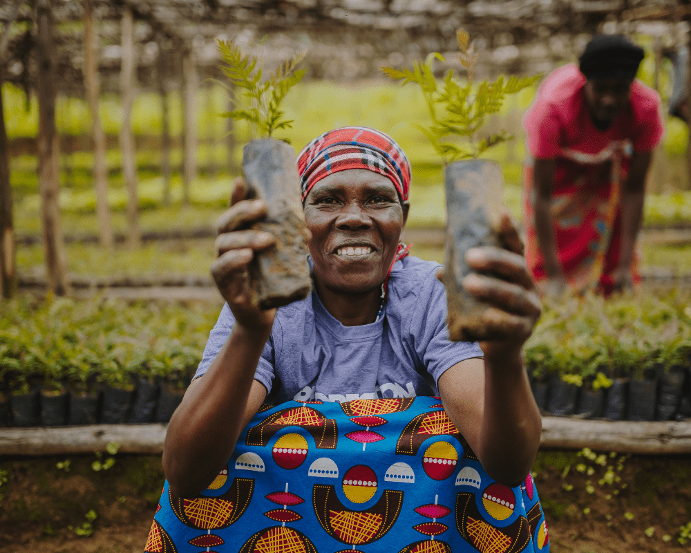 Plant Trees in Rwanda - One Tree Planted