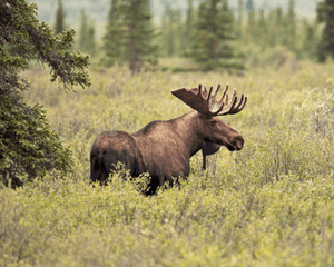 British Columbia