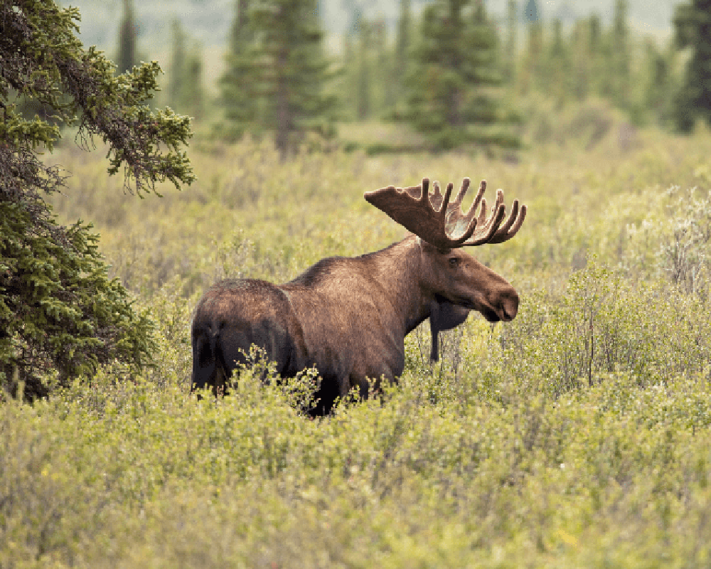 British Columbia